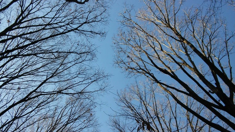 277917505853B8322286E9