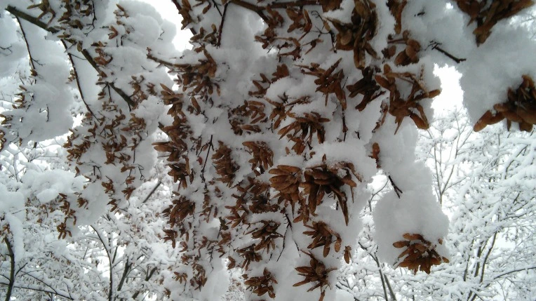 2365FD33565F945026DC8A