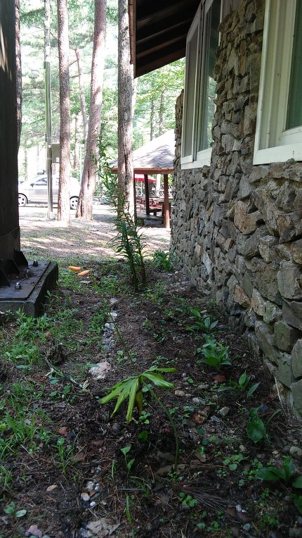 21F17F335973DA322216B9