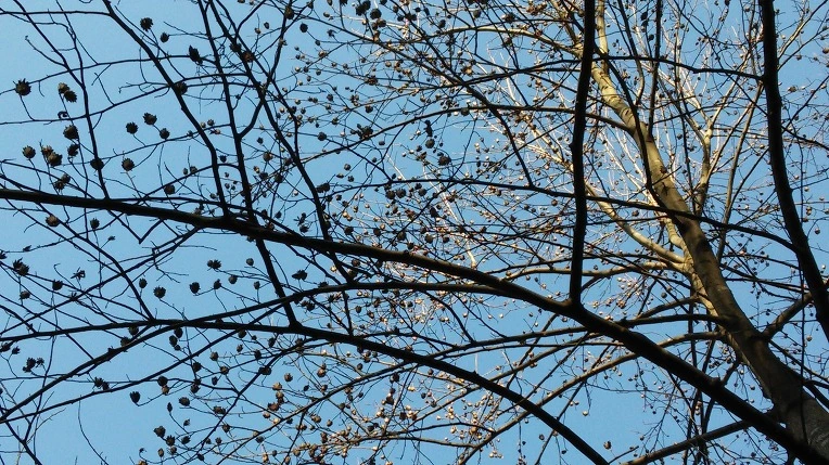 24252B37567211320487FF