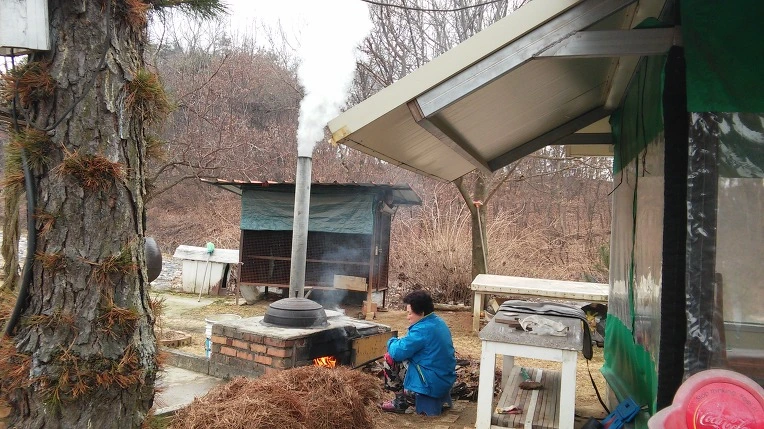 2516134656C6C2401E9B5B