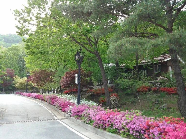 033D92455191DC1E3E4598