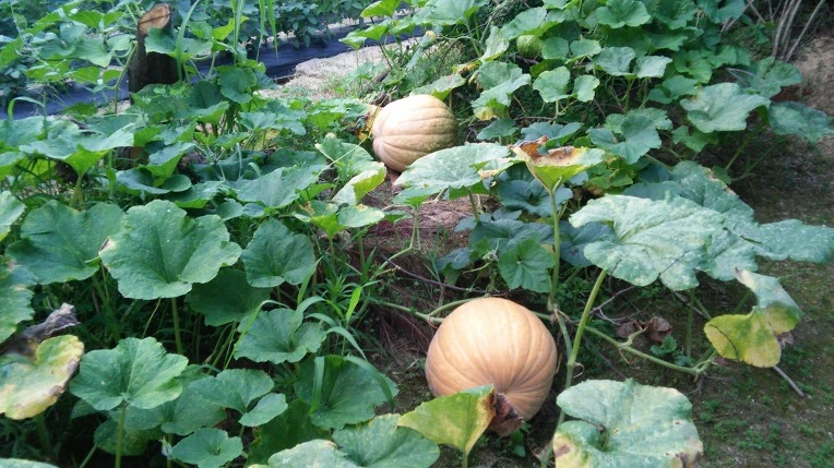 267CC1405622C00403EEC8