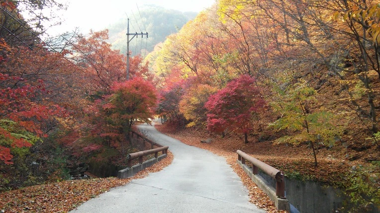 996D6E335A0ED10C2A9585