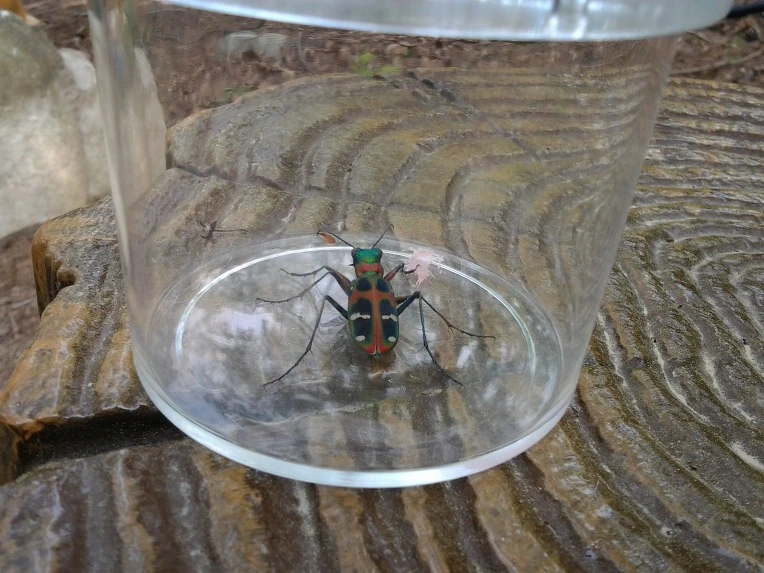 222891415191E0732283E9