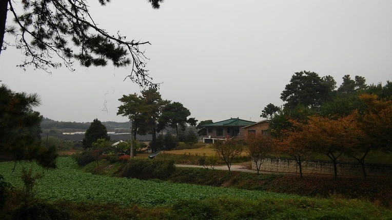 2746703F58217A85221F73