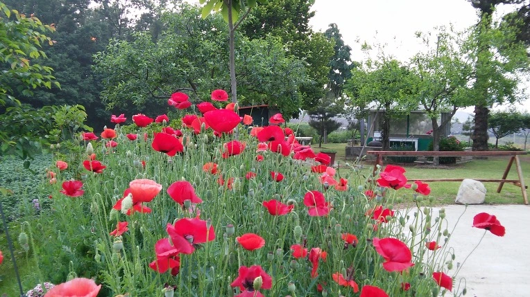 241AB73A575E43E61213CE