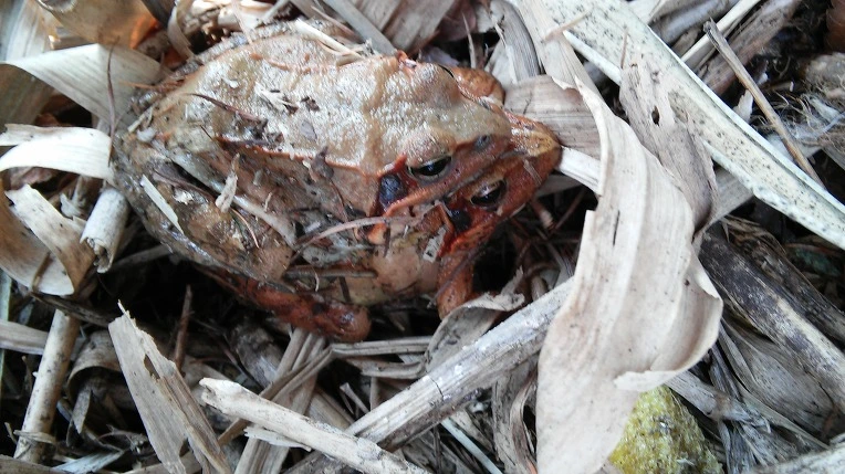 2524F83E550282E91C6AC3