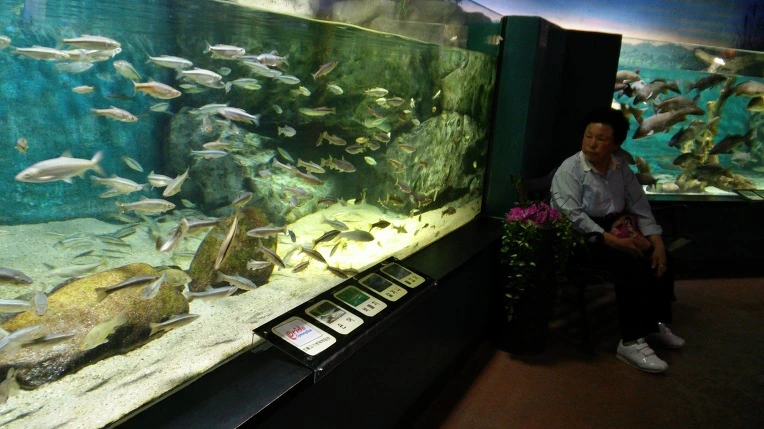 2259253C593C75F637D61E