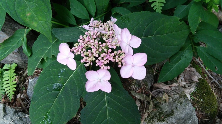 2365853E59557BC72C1F03