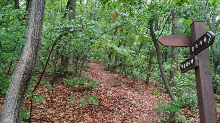 2556164C57311829248219