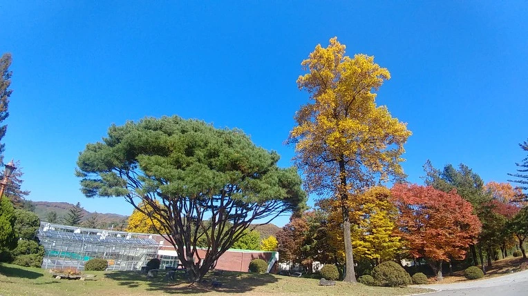 9974EC3B5C2758B72B2783