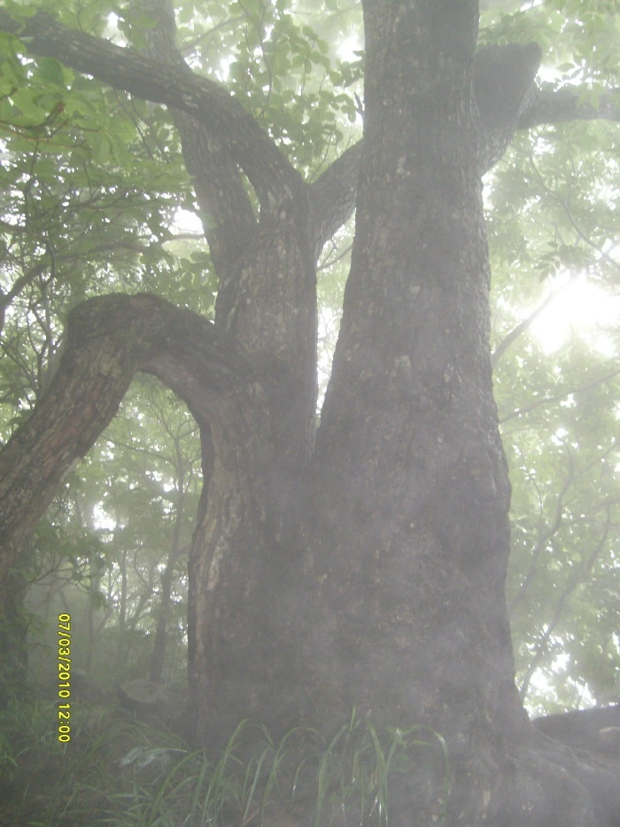 995FD7385D7494FE1FE54D