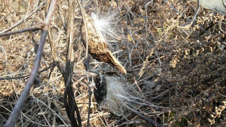 225FFB3556B307860FFD62