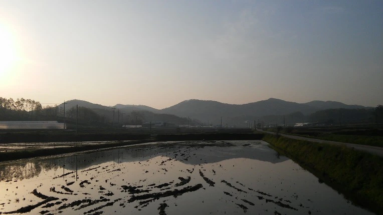 252B2B3B571E9C1627F207