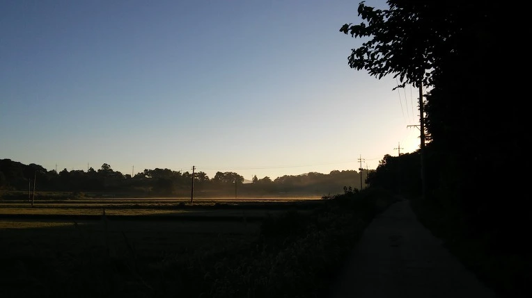 2638D64257C0C7B12CB773