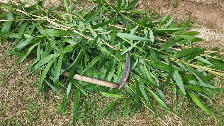 21546733578C5BF7181666