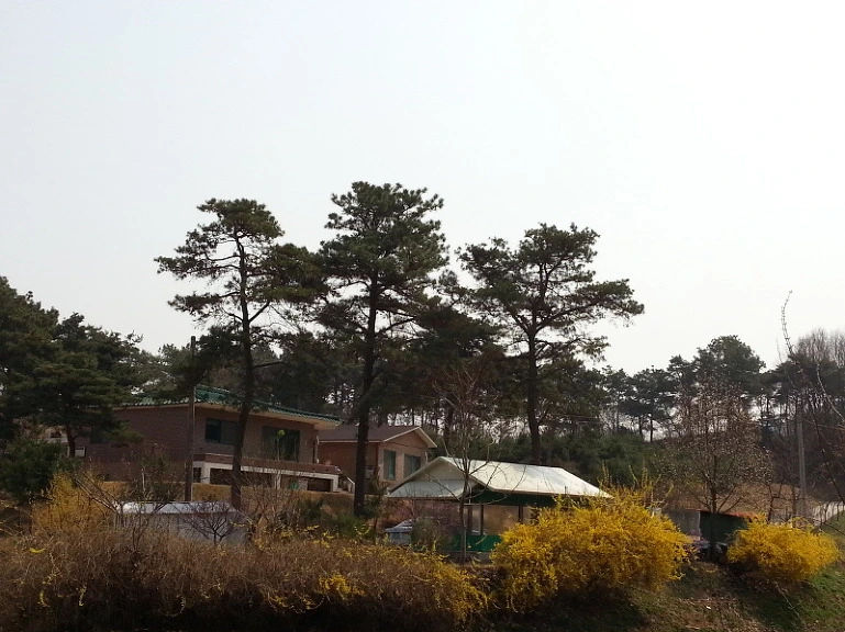 26699E3F533A74500CE44F