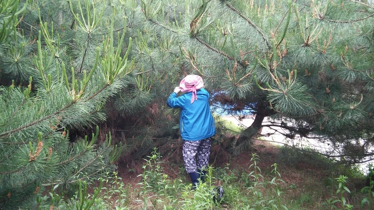 220D05375747BA4004239B