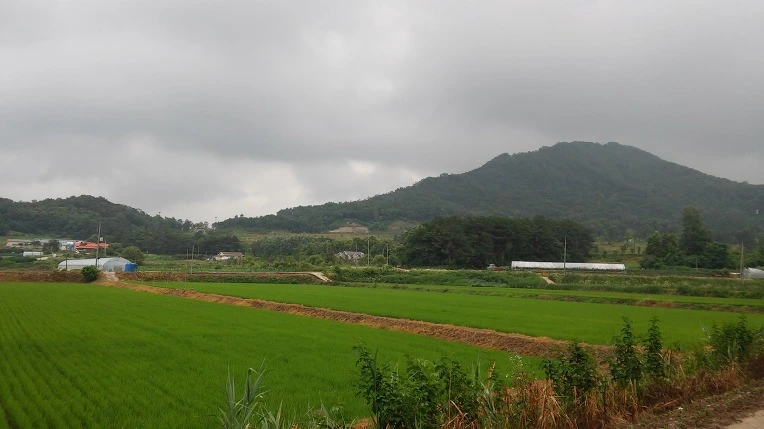 23738C3B576CFBFC30D6D1