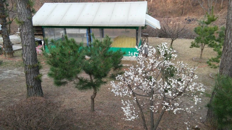 221AB34556FC8CA0336FE8