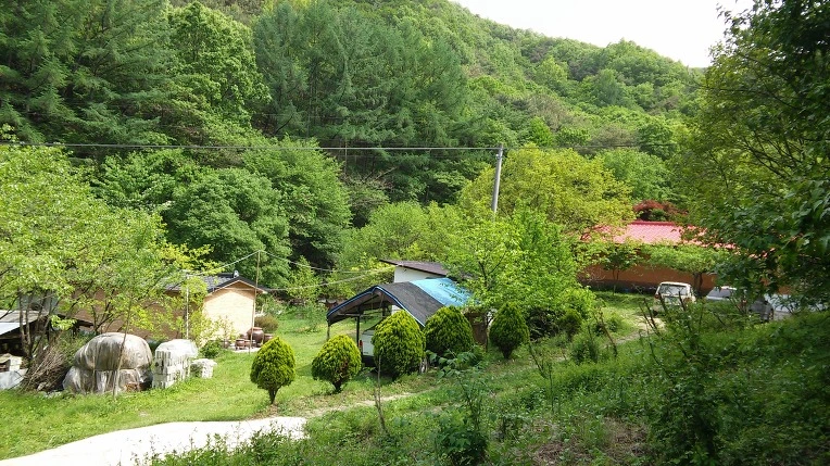 2466743B572E69F42299D0