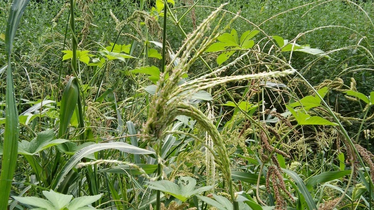 221FC64D57BCEC2D36C5BC