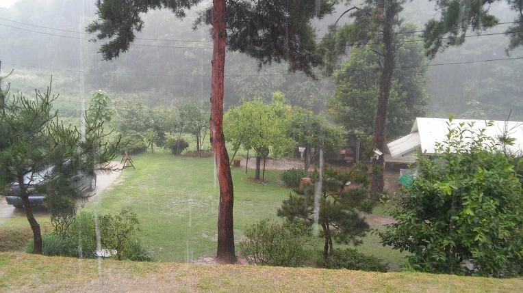 274E5C4E577DE45401F6DE