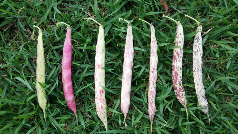 227FA347576F80E9053DD5