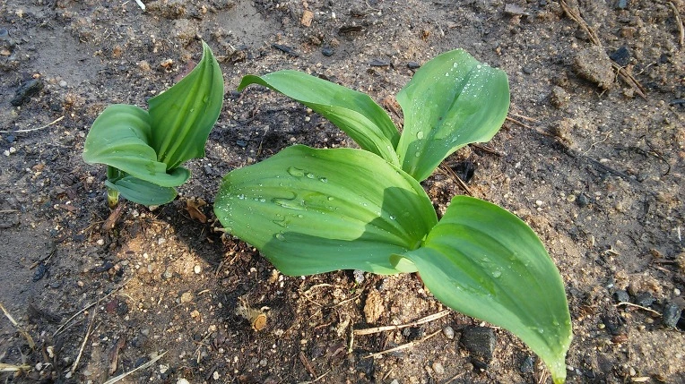 2248F94156FC8D0906CB3D