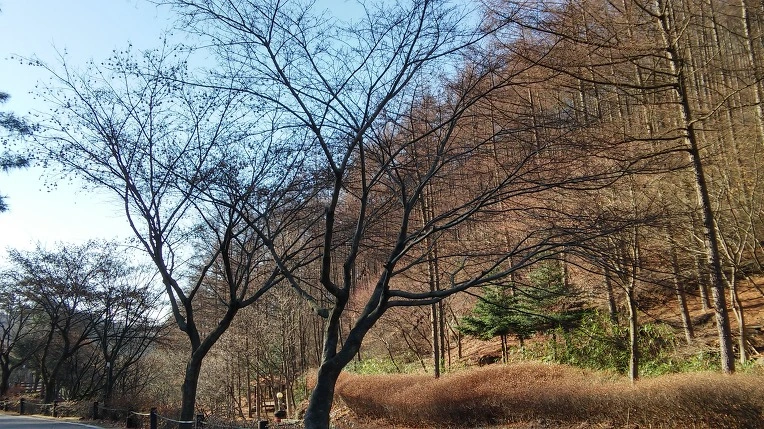 2775B43C5672117304F28F