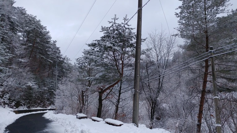 990635375AA45F7822C48B