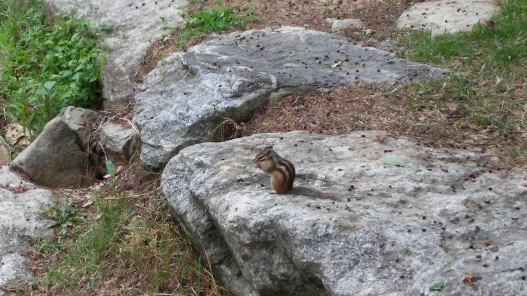 2258DB3E558C8D9D2EEF8C