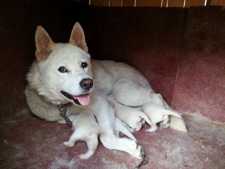 212F2B5051B7F5650A7795