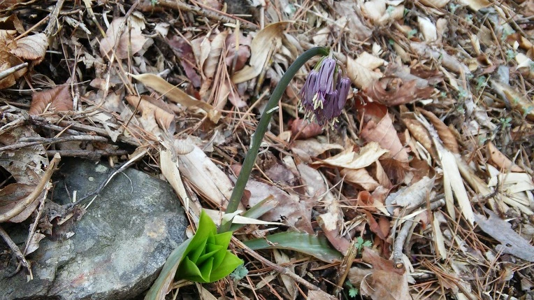 210C933558F1758E141155