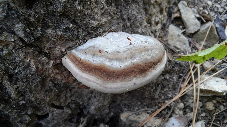 213FDF4D562051601BA645