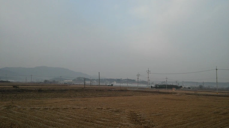 223AF64556C6C2152EEB88