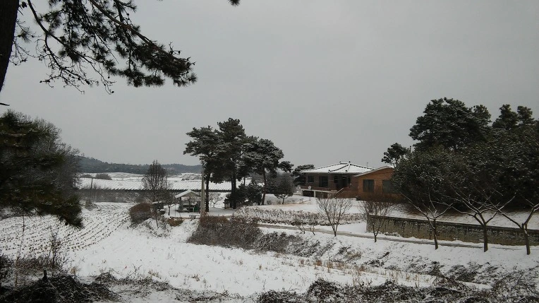 23684B355881AD16158B94