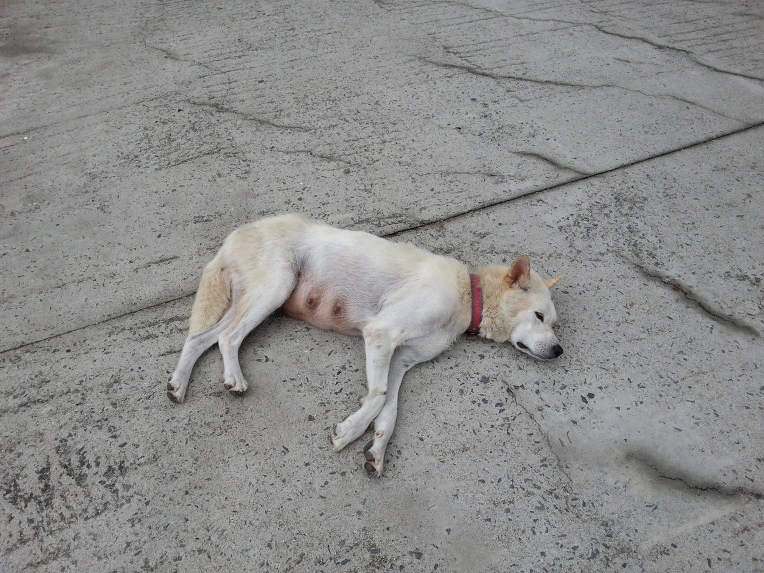 2623D24D56946D3B2986AC