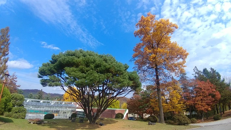 990B163C5C275B0035E576