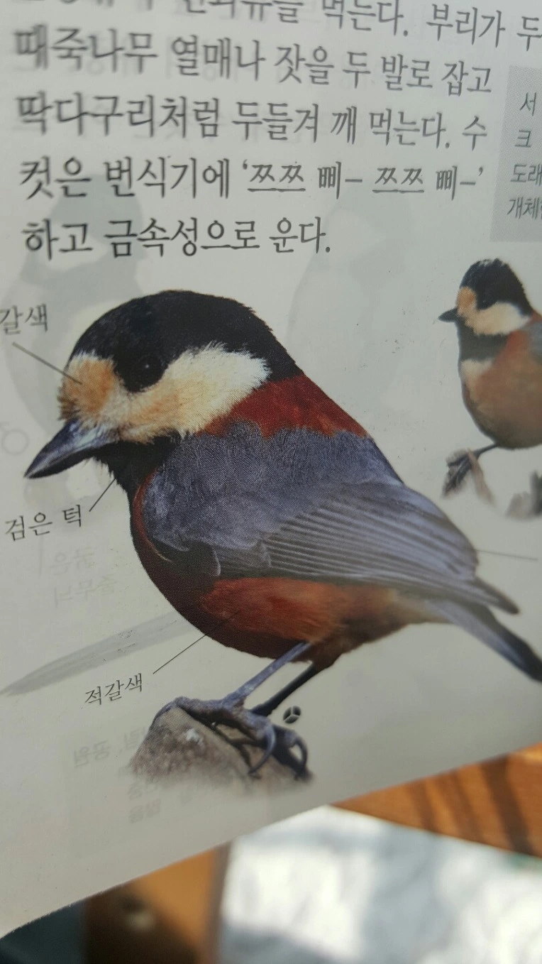 2704A43956F733251F8C1C