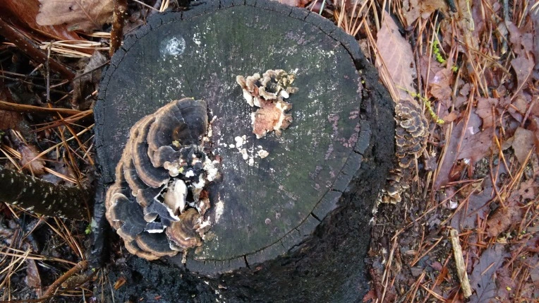 261D404E5712CCC031A7C3