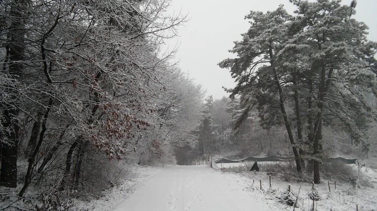 21390D3E56D10AE91DA459