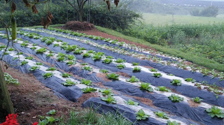 2163A73C57D0B89F235810