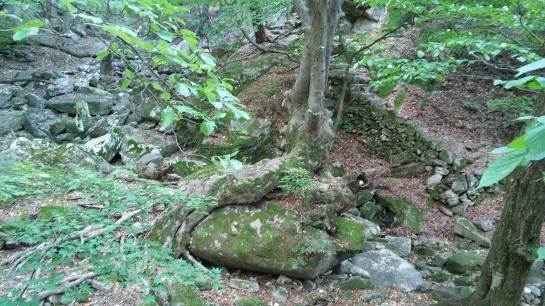 23408842560FBC7D1D30A6