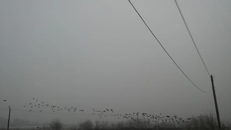 2615EF4D5880259D28B1AD