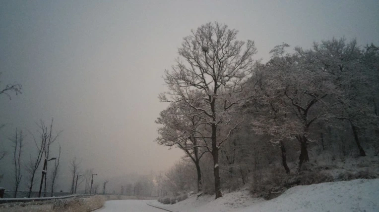 240A58375878AC941D0D49