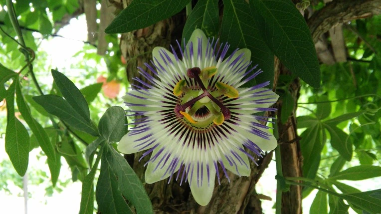 231A10505771F3DE2497DF