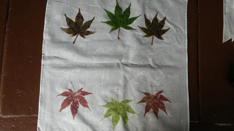 2234B13C5620A6691F9635