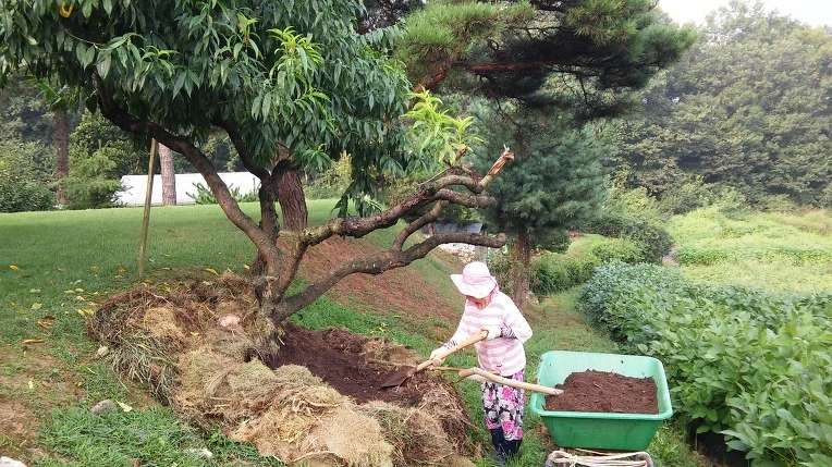 264CAB3957D0BA0F363CF3